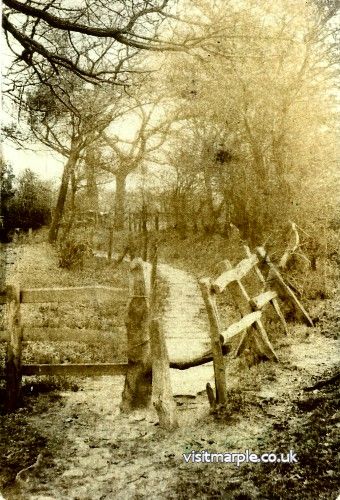 flagg-wood-marple-hall-estate.jpg