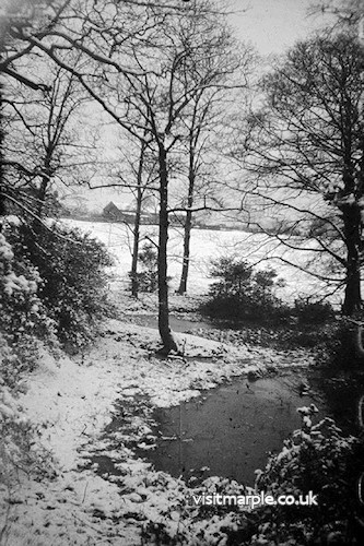 flag-wood-pond2.jpg