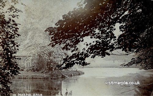 Image35.jpg