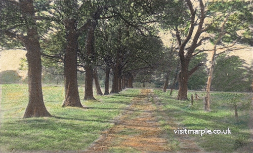 marple-hall-drive-c1960.jpg