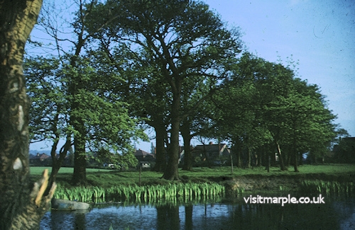 marple-pool.jpg