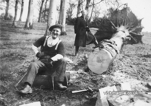 Wood Cutting in Turncliff Wood