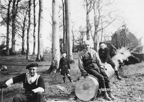 Wood Cutting in Turncliff Wood