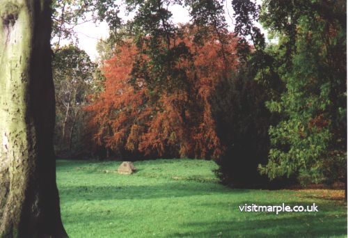 picture06a.jpg
