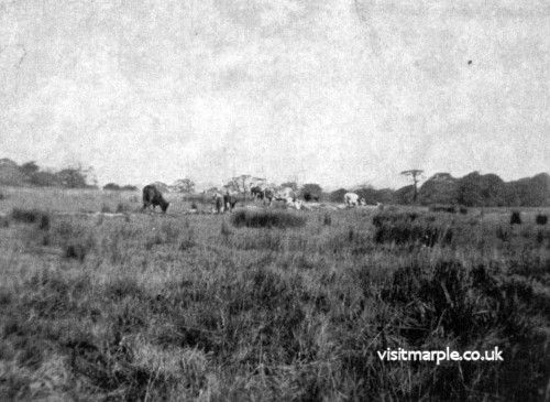 280-stockport-rd-1932-2.jpg