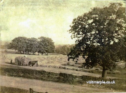 opp-280-stockport-rd-summer-1932.jpg
