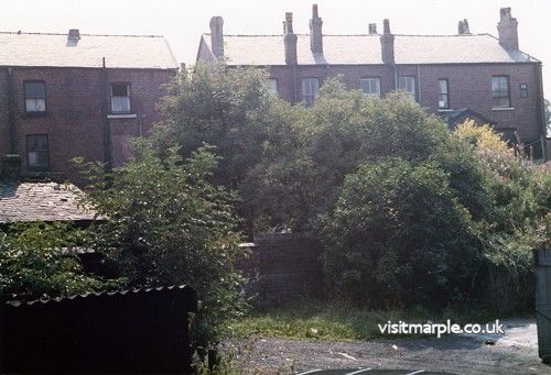 Image04.jpg