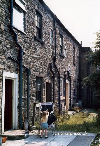 Image46.jpg