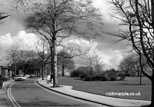 memorial-park-drive.jpg