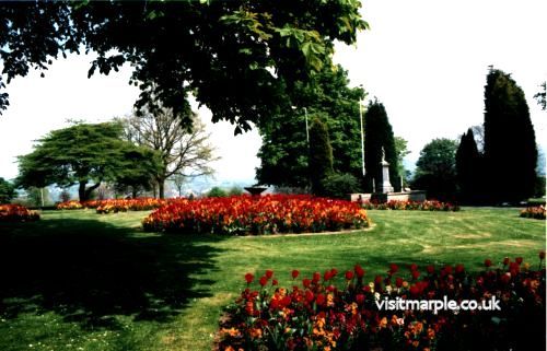 picture_41.jpg