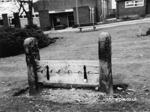 stocks-in-memorial-park.jpg