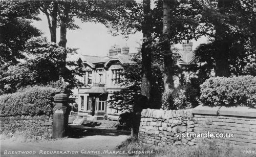 picture_124.JPG