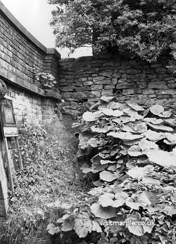 ring-o-bells-footbridge-26-8-66-3.jpg