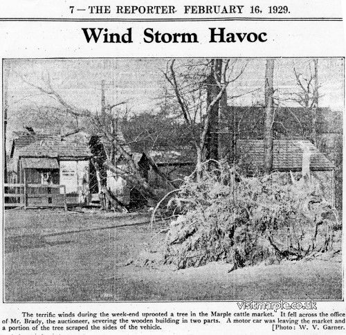 cattle-market-wind-storm.jpg