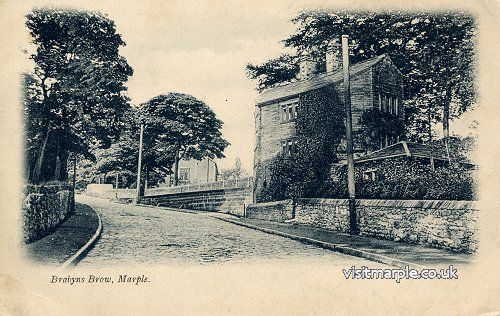Image11.jpg