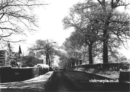 picture_56.jpg