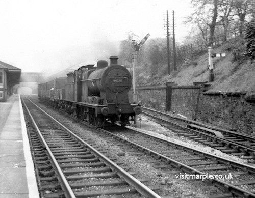 marple_002.jpg