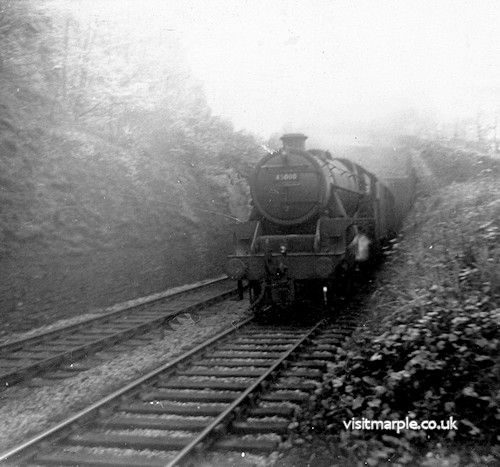 marple_007.jpg