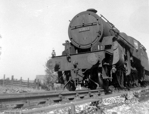marple_005.jpg