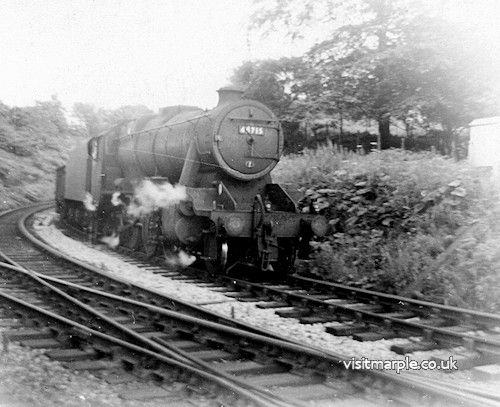 marple_010.jpg