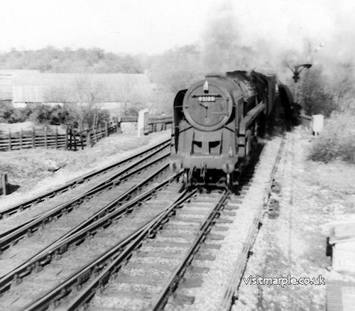 marple_017.jpg