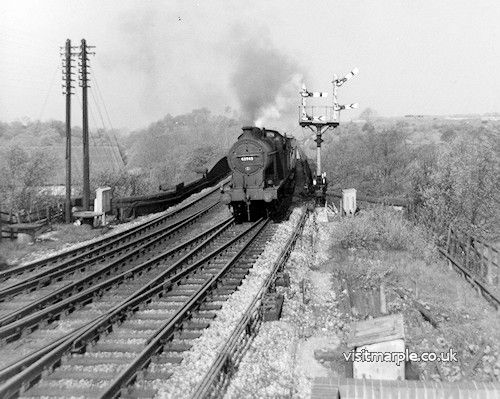 marple_019.jpg