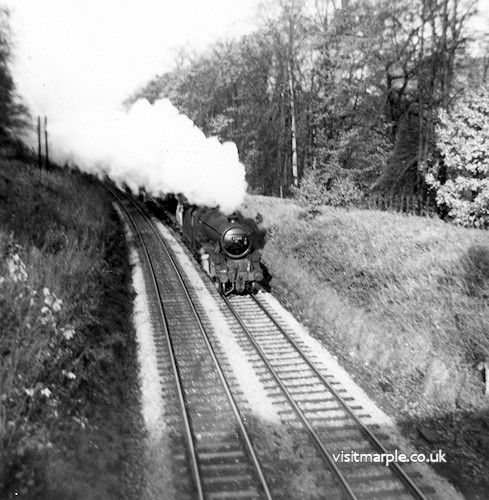 marple_023.jpg