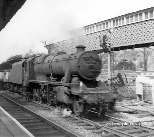 marple_026.jpg