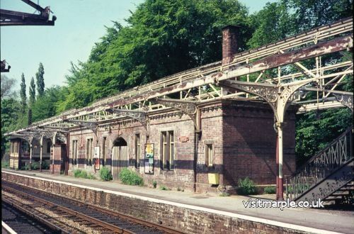 picture_96.jpg