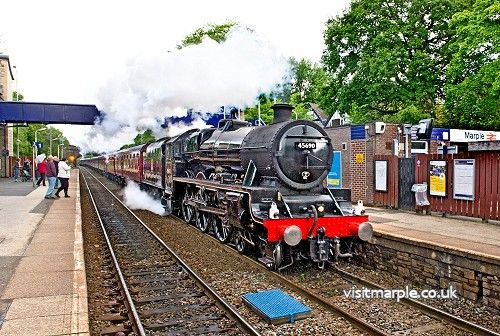 train3.jpg
