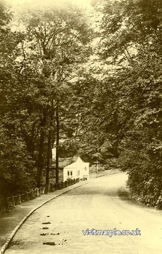 dan-bank-a13.jpg