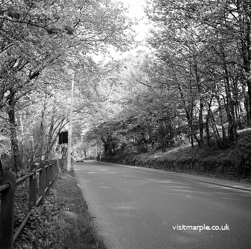 dan-bank-c1960.jpg