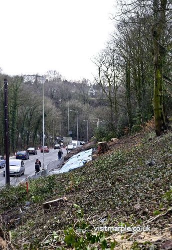 danBank12211_11.JPG