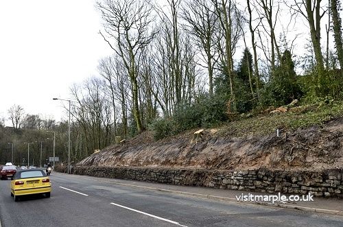 Dan Bank Road Widening