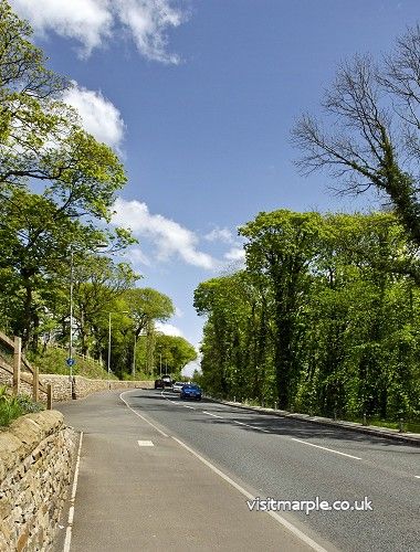 DanBank-p3-may2011.JPG