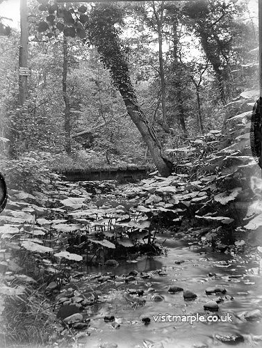 donkeywood1.jpg