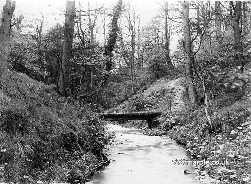 mlhs_donkey_bridge_01.jpg