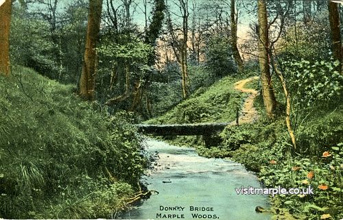 mlhs_donkey_bridge_03.jpg