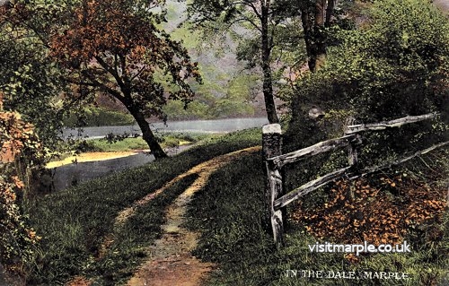 Marple Dale