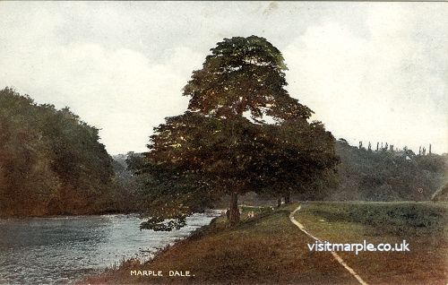 Marple Dale